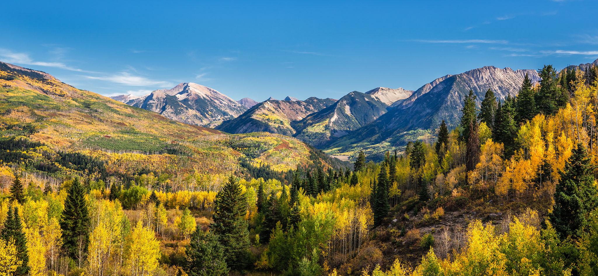 Scenic panorama picture of an autumn Colorado mountainscape in hues of green and gold and a clear blue sky
